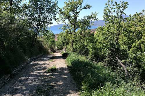 Corte degli Ulivi - Cilento - Le escursioni - Sentiero Aurella